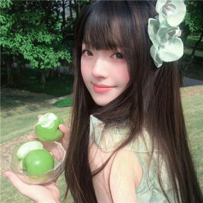 秋田犬蓬夫